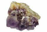Tall, Amethyst Crystal Cluster - South Africa #115395-2